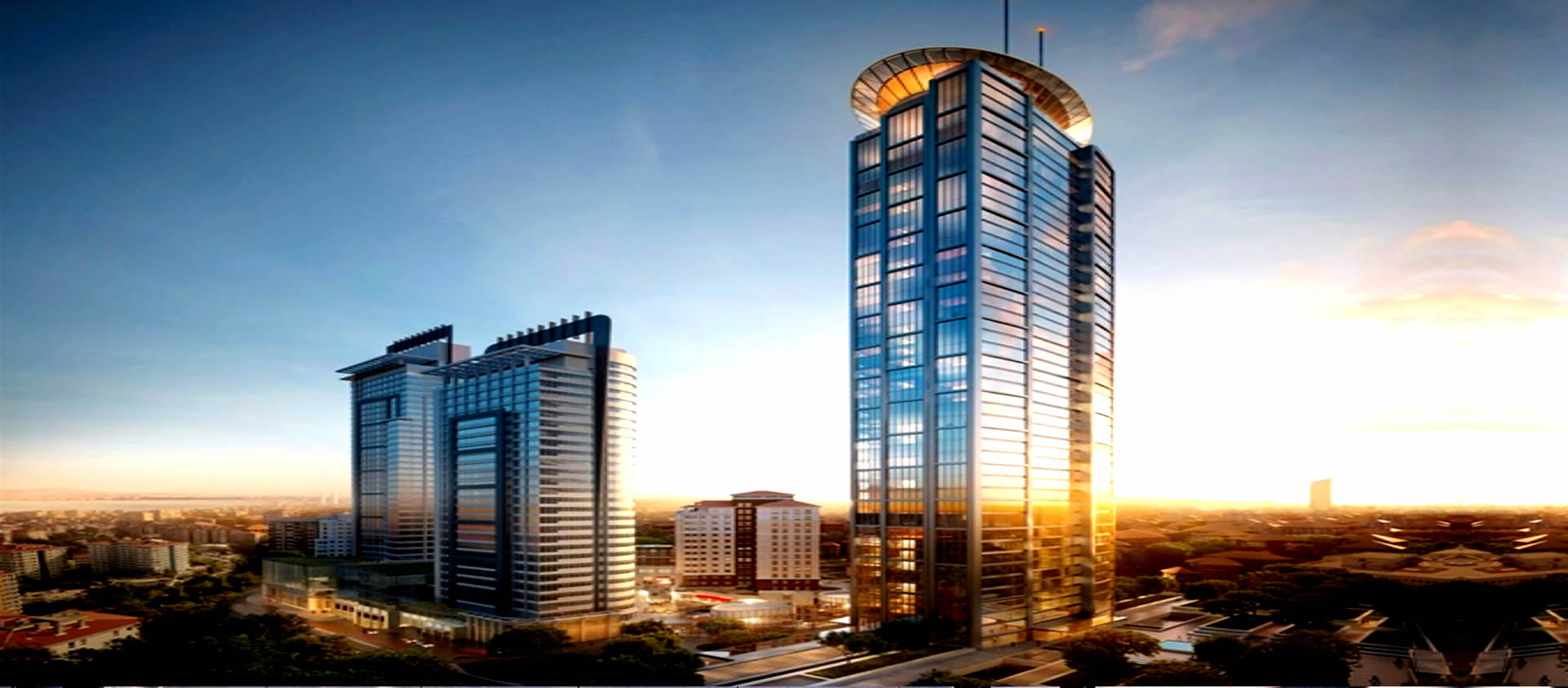 evcil hayvan dünyası