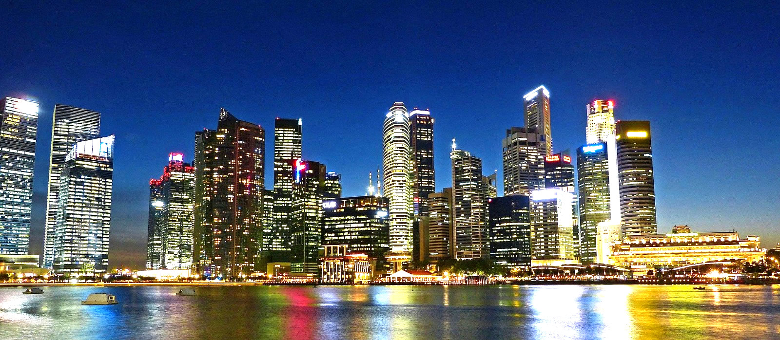 evcil hayvan dünyası