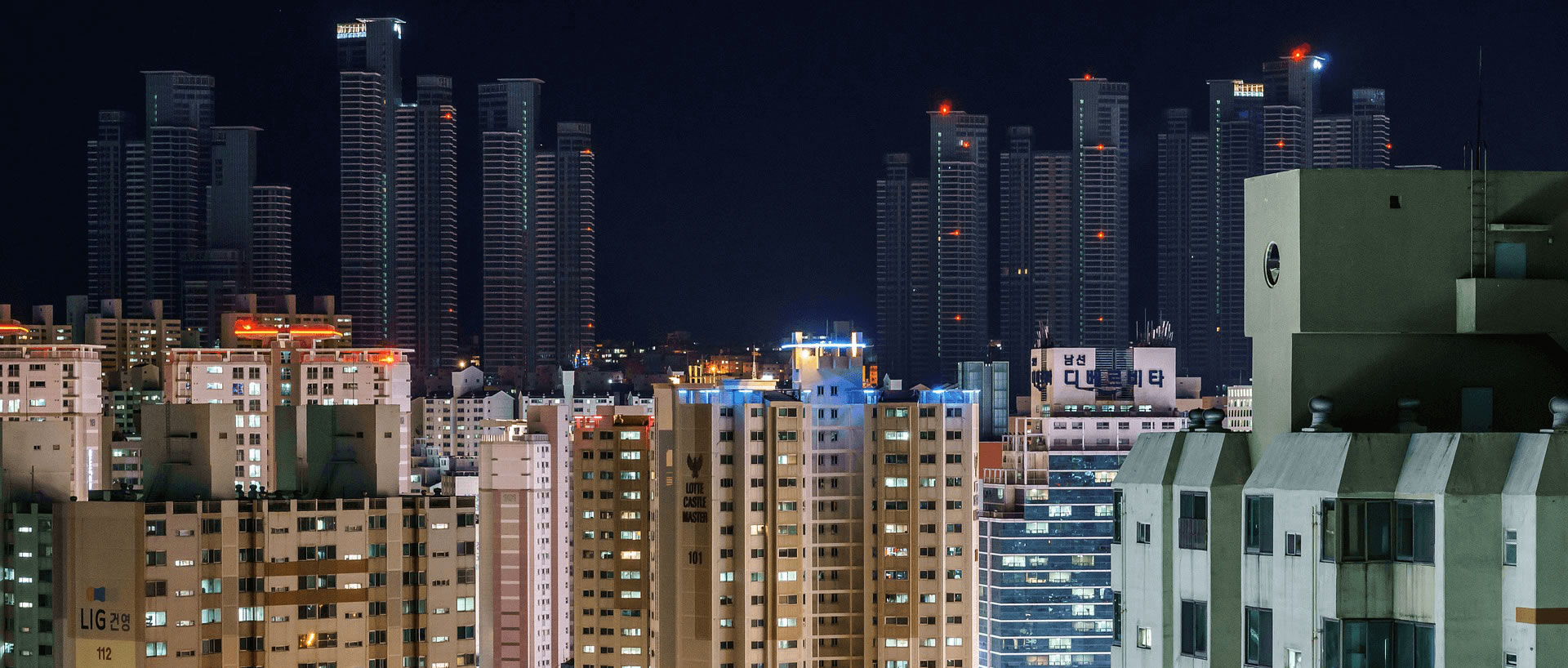 evcil hayvan dünyası